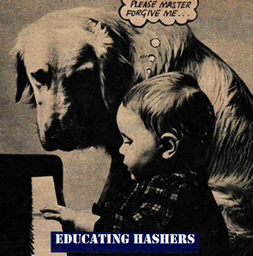 Let us raise our beer in toast